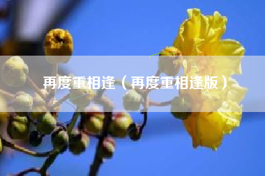 再度重相逢（再度重相逢版）