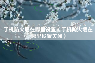 手机防火墙在哪里设置（手机防火墙在哪里设置关闭）