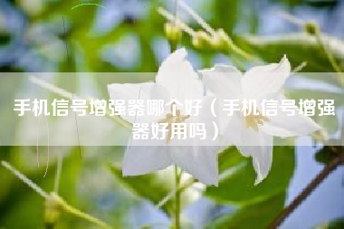 手机信号增强器哪个好（手机信号增强器好用吗）