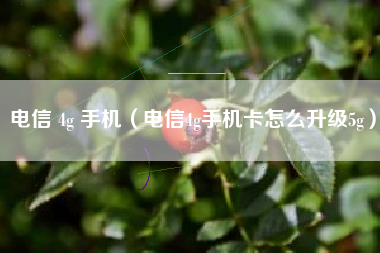电信 4g 手机（电信4g手机卡怎么升级5g）