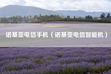 诺基亚电信手机（诺基亚电信智能机）