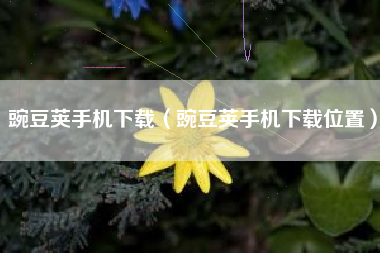 豌豆荚手机下载（豌豆荚手机下载位置）
