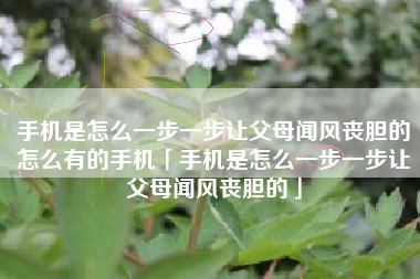 手机是怎么一步一步让父母闻风丧胆的怎么有的手机「手机是怎么一步一步让父母闻风丧胆的」