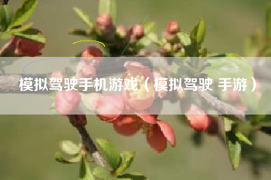 模拟驾驶手机游戏（模拟驾驶 手游）