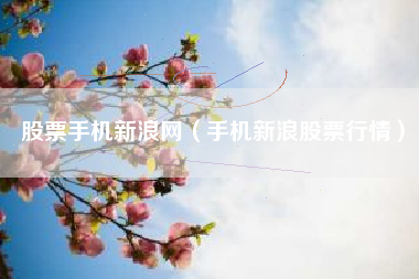股票手机新浪网（手机新浪股票行情）