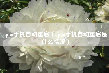 oppo手机自动重启（oppo手机自动重启是什么情况）