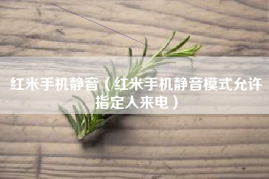 红米手机静音（红米手机静音模式允许指定人来电）