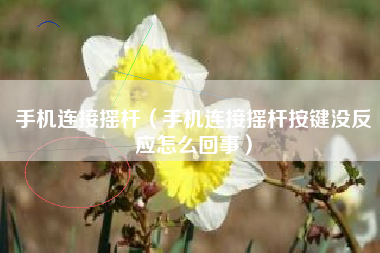 手机连接摇杆（手机连接摇杆按键没反应怎么回事）