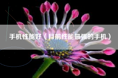 手机性能好（目前性能最强的手机）