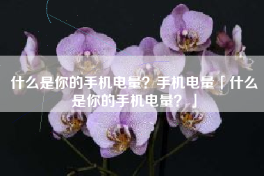 什么是你的手机电量？手机电量「什么是你的手机电量？」