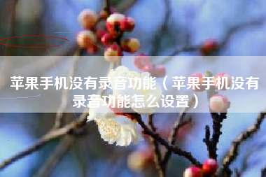 苹果手机没有录音功能（苹果手机没有录音功能怎么设置）