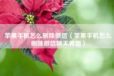 苹果手机怎么删除微信（苹果手机怎么删除微信聊天界面）