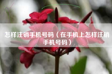 怎样注销手机号码（在手机上怎样注销手机号码）