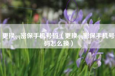 更换qq密保手机号码（更换qq密保手机号码怎么换）