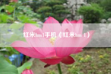 红米hm1手机（红米hm 1）