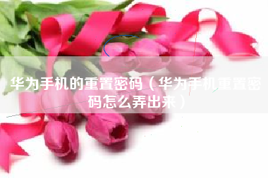 华为手机的重置密码（华为手机重置密码怎么弄出来）
