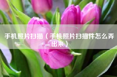 手机照片扫描（手机照片扫描件怎么弄出来）