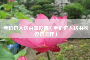 手机进入路由器设置（手机进入路由器设置流程）