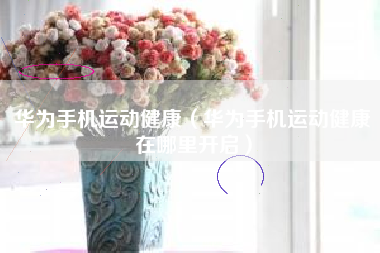 华为手机运动健康（华为手机运动健康在哪里开启）