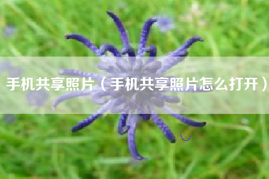 手机共享照片（手机共享照片怎么打开）