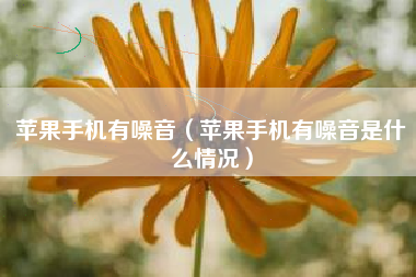 苹果手机有噪音（苹果手机有噪音是什么情况）