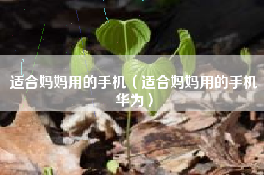 适合妈妈用的手机（适合妈妈用的手机华为）