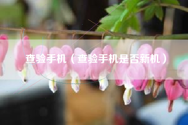 查验手机（查验手机是否新机）