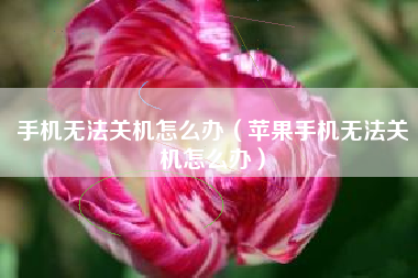 手机无法关机怎么办（苹果手机无法关机怎么办）