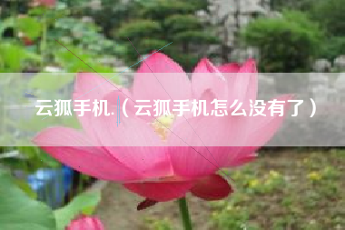 云狐手机.（云狐手机怎么没有了）