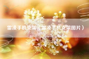 雷凌手机支架（雷凌手机支架图片）