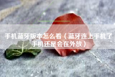 手机蓝牙版本怎么看（蓝牙连上手机了手机还是会在外放）