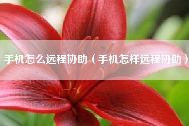 手机怎么远程协助（手机怎样远程协助）