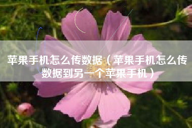 苹果手机怎么传数据（苹果手机怎么传数据到另一个苹果手机）