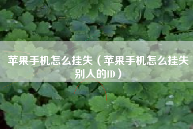 苹果手机怎么挂失（苹果手机怎么挂失别人的ID）
