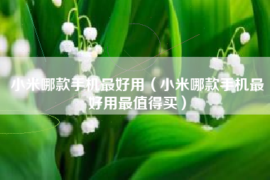 小米哪款手机最好用（小米哪款手机最好用最值得买）