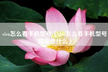 vivo怎么看手机型号（vivo怎么看手机型号指令是什么）