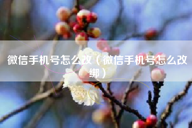 微信手机号怎么改（微信手机号怎么改绑）
