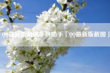 QQ最新版截图手机助手「QQ最新版截图」