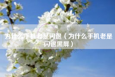 为什么手机老是闪退（为什么手机老是闪退黑屏）
