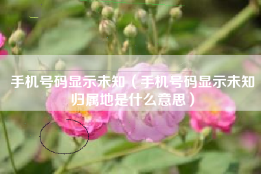 手机号码显示未知（手机号码显示未知归属地是什么意思）