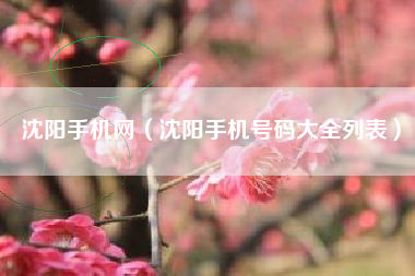 沈阳手机网（沈阳手机号码大全列表）