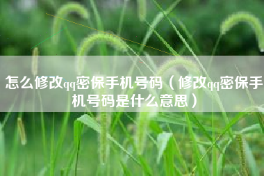 怎么修改qq密保手机号码（修改qq密保手机号码是什么意思）