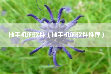 抽手机的软件（抽手机的软件推荐）