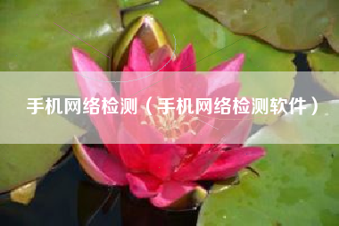 手机网络检测（手机网络检测软件）