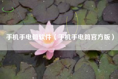 手机手电筒软件（手机手电筒官方版）