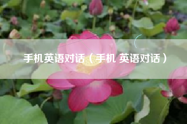 手机英语对话（手机 英语对话）