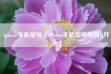iphone手机型号（iPhone手机型号号码M开头）