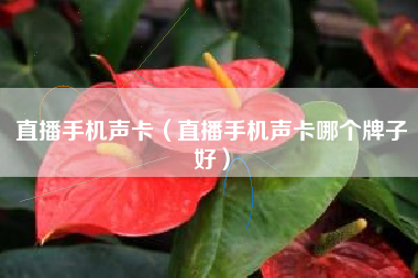 直播手机声卡（直播手机声卡哪个牌子好）