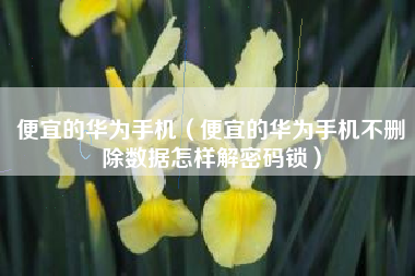 便宜的华为手机（便宜的华为手机不删除数据怎样解密码锁）