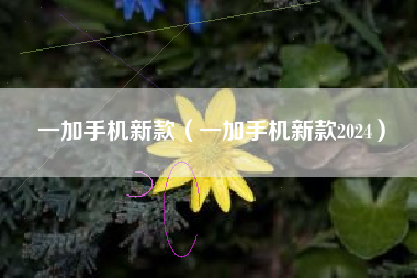 一加手机新款（一加手机新款2024）
